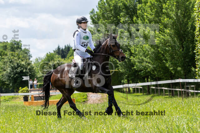 Westerstede Horse Trials 2021
