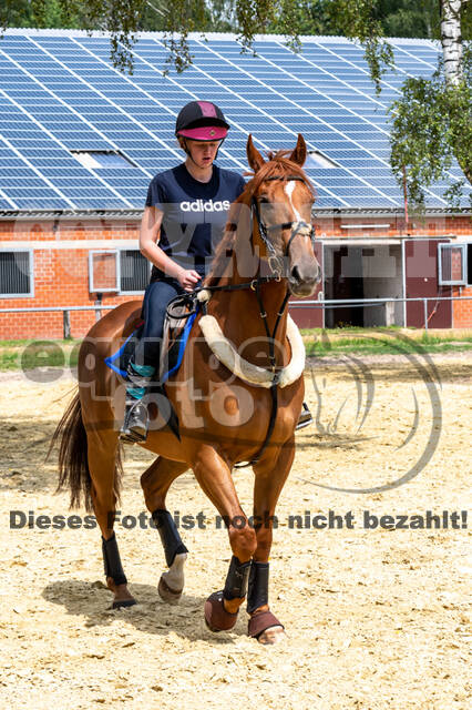 Hunter Geländetraining 10.07.2021 (Sonsbeck)