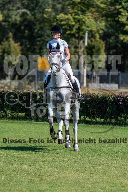 Kronenberg - De Peelbergen (August 2020)