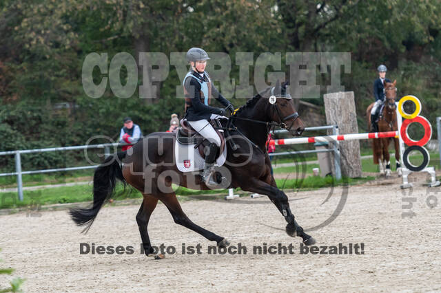 Goldene Schärpe 2020 - Pferde